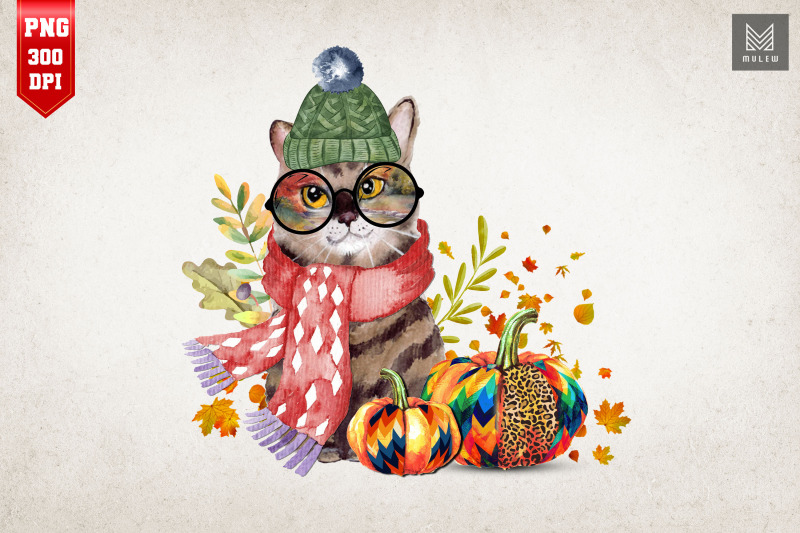 cute-cat-amp-pumpkin-spice-fall-autumn