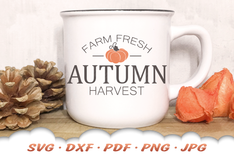 pumpkin-svg-autumn-harvest-svg