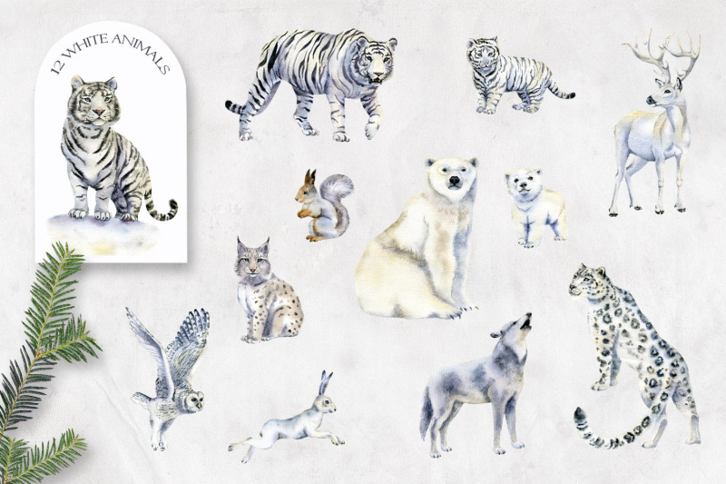 watercolor-woodland-animals-clipart-white-forest-animals-tigers-bea