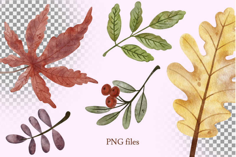 autumn-leaves-png