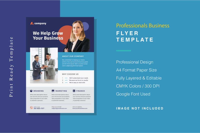 professionals-business-flyer-template