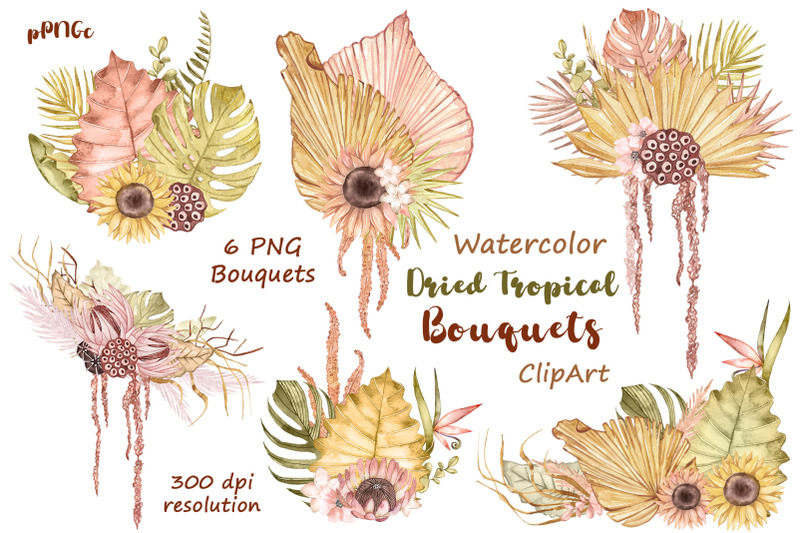 watercolor-boho-bouquets-clipart-dried-tropical-flowers