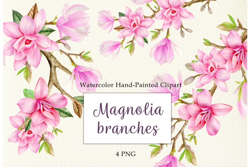 watercolor-pink-magnolia-branches-floral-clipart-set-spring-flowers