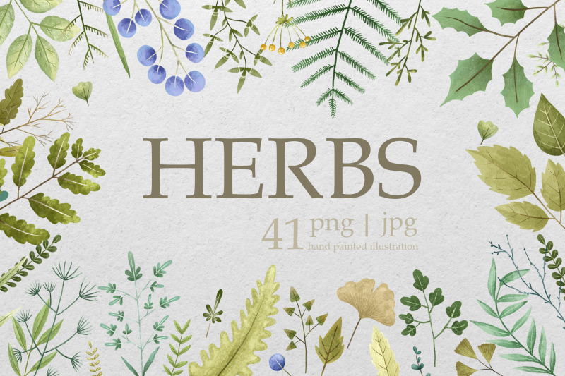 hand-painted-herbs-and-spices