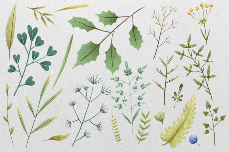 hand-painted-herbs-and-spices