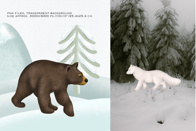 animals-in-the-winter-forest-clipart