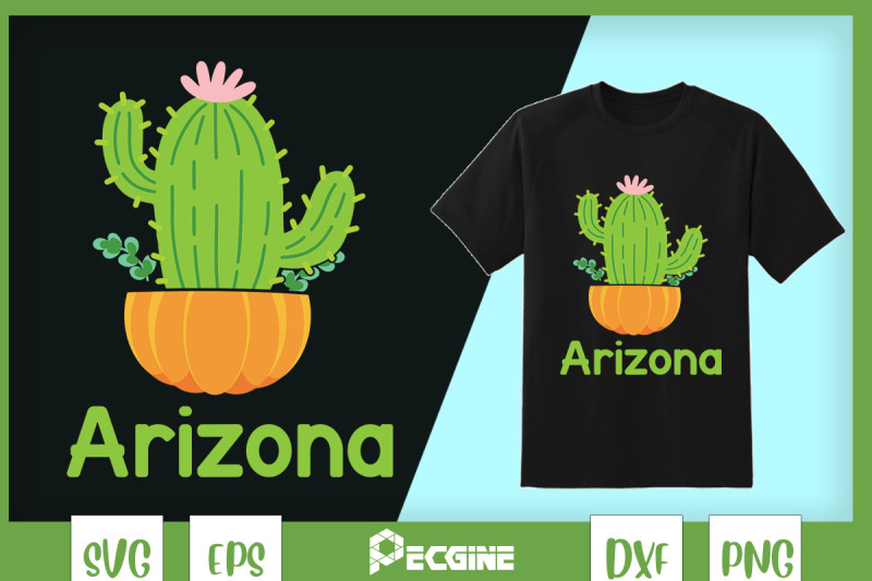 arizona-cactus-plant-with-flower-custome