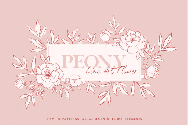 peony-line-art-flower