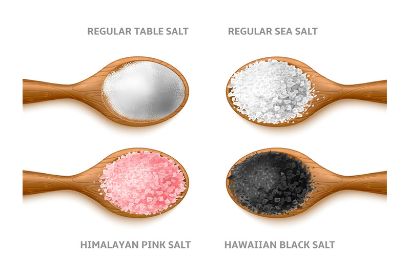 realistic-salt-types-cooking-crystals-and-powder-different-sea-natur