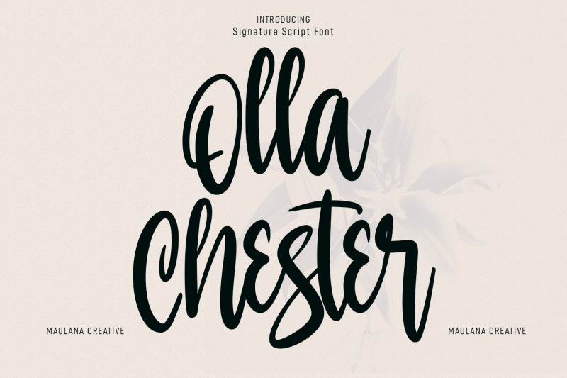 olla-chester-script-font