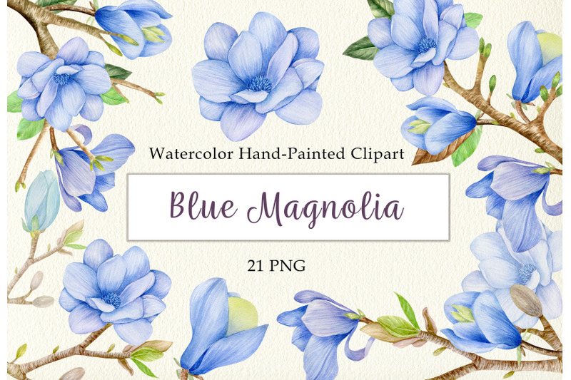 watercolor-blue-magnolia-floral-clipart-set