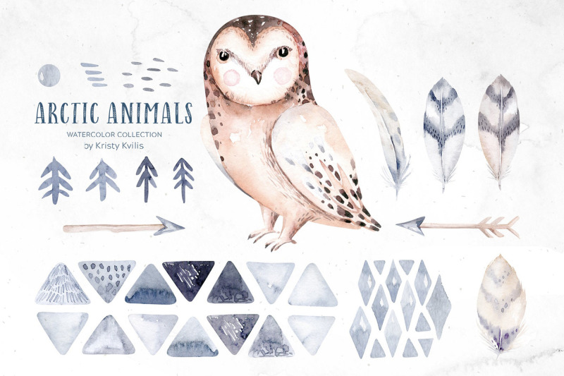 watercolor-owl-nightbirds-clipart-set-arctic-birds-snowy-owl-fern