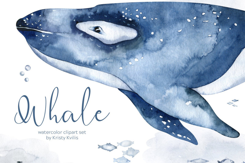 watercolor-whale-amp-killer-whale-clipart-set-ocean-animals-png