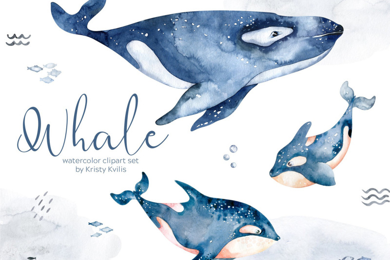 watercolor-whale-amp-killer-whale-clipart-set-ocean-animals-png