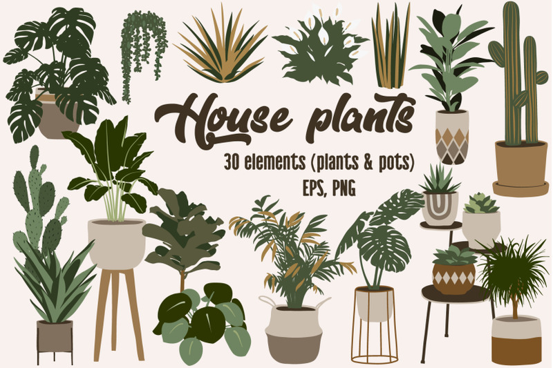 boho-house-plant-clipart