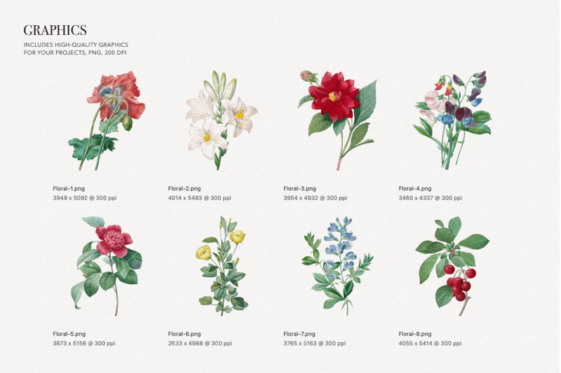 bloom-floral-english-pattern