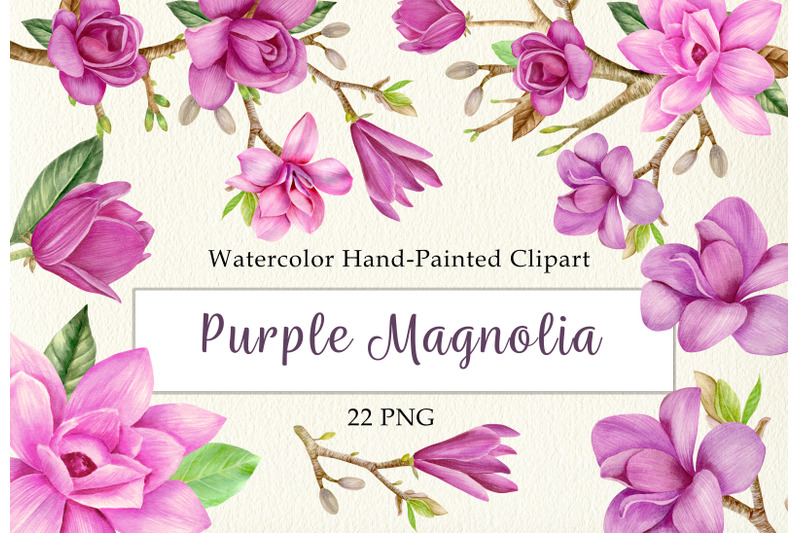 watercolor-purple-magnolia-floral-clipart-set