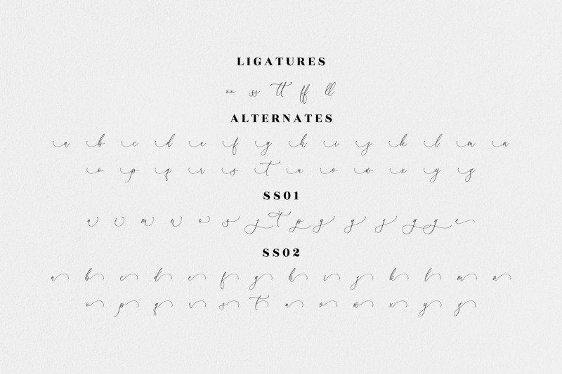 athena-modern-luxury-script-font