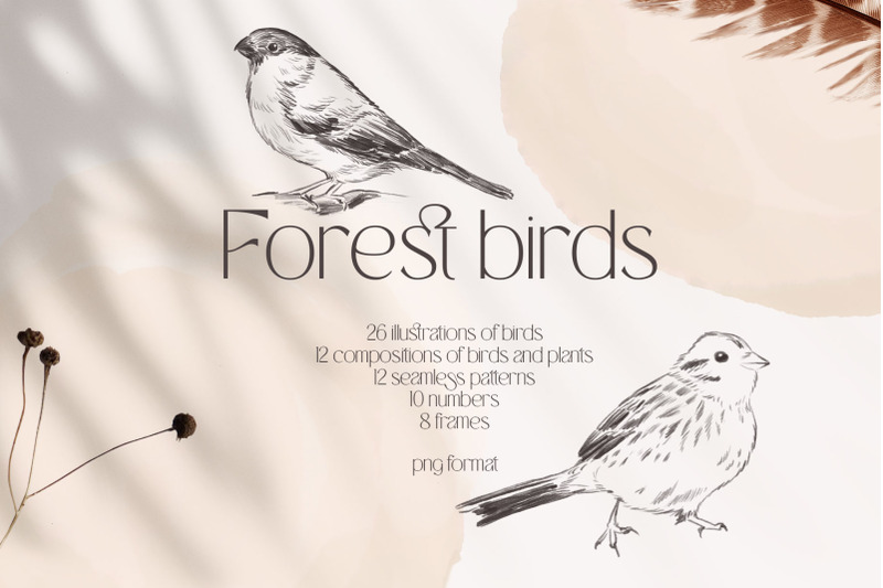 forest-birds-sketches-collection