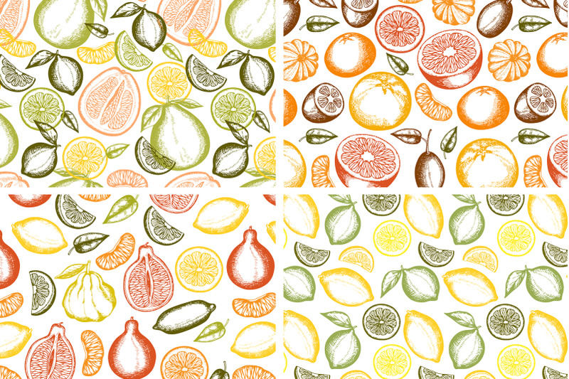 vintage-citrus-fruits-design-kit