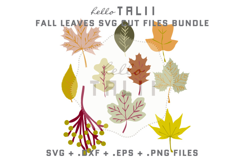 fall-leaves-svg-cut-files-bundle