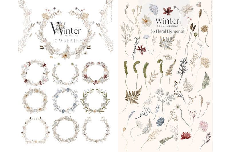 winter-wildflowers-watercolors