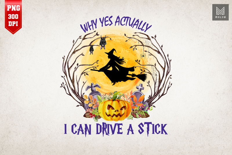 why-yes-actually-i-can-drive-a-stick