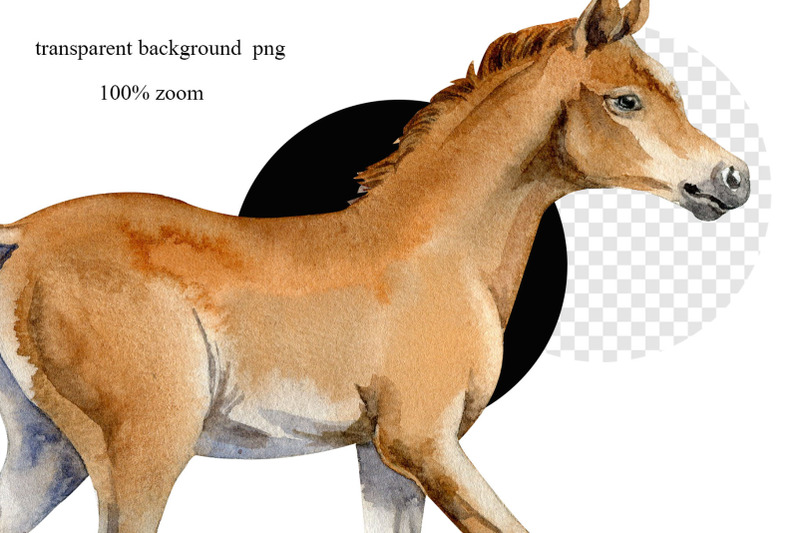 watercolor-horses-clipart-horse-digital-art