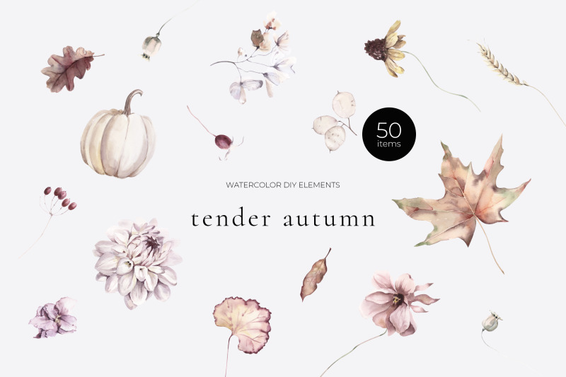 tender-autumn-watercolor-elements