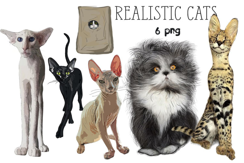 realistic-cats