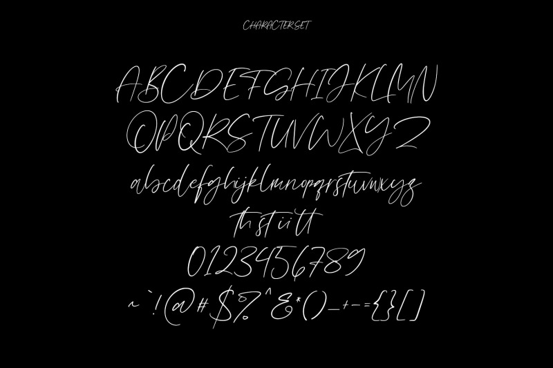 ray-brooks-script-font