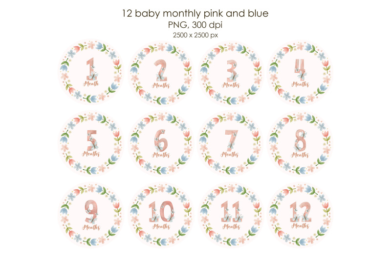 pink-baby-monthly-milestone-watercolor-illustration