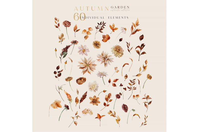 autumn-garden-collection-watercolor-set