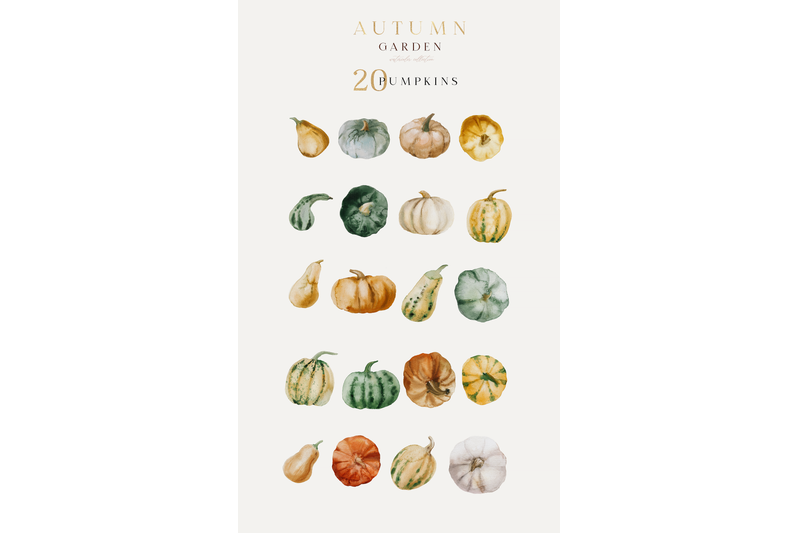 autumn-garden-collection-watercolor-set