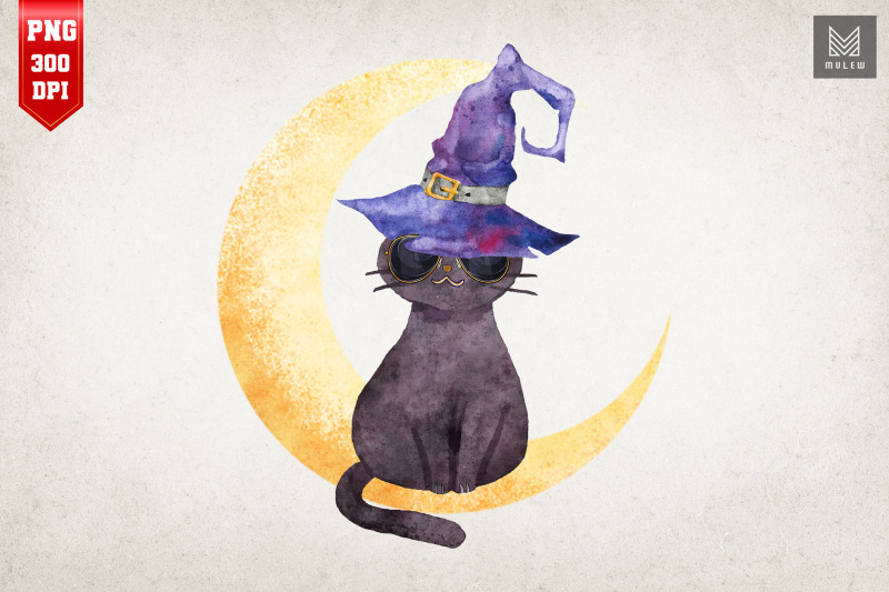 black-cat-costume-witch-hat-amp-moon