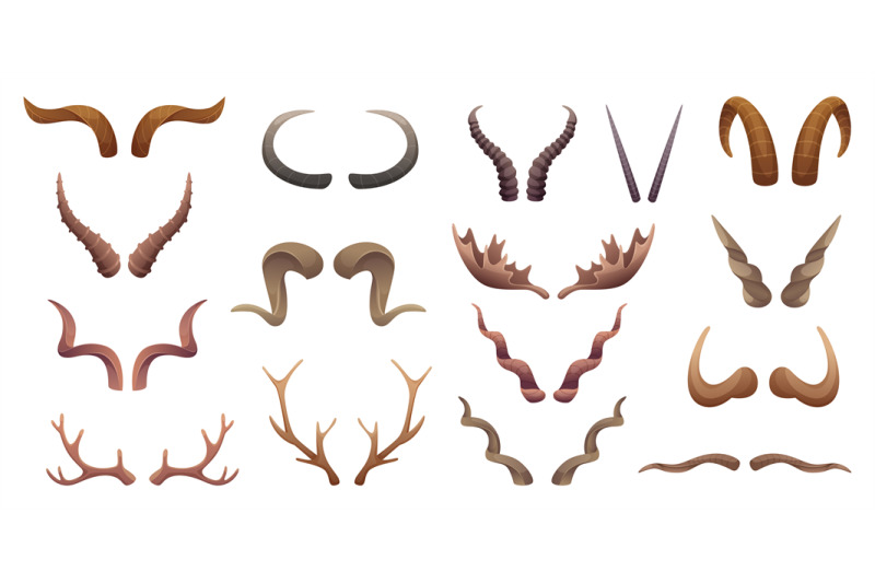 horns-collection-buffalo-rams-sheep-animal-head-anatomic-parts-exact