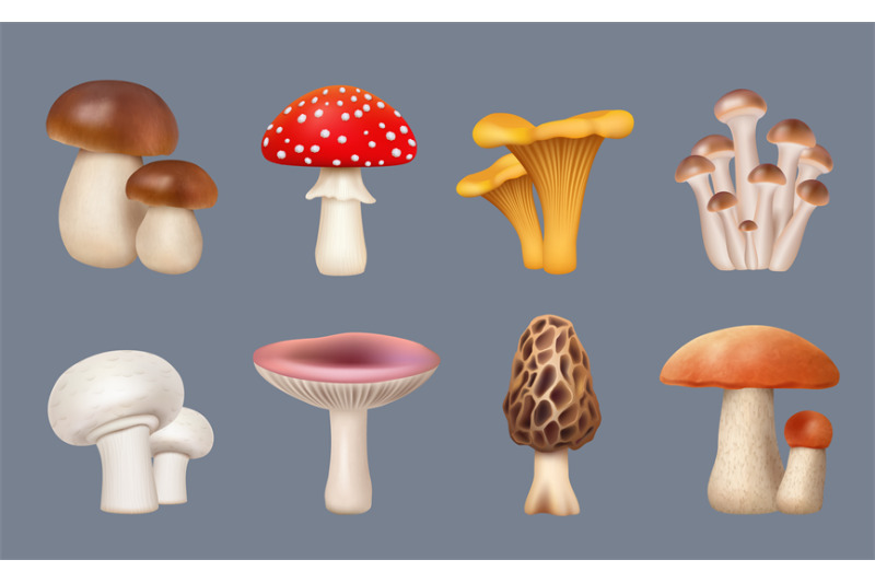 mushroom-realistic-harvest-forest-plants-chanterelle-white-mushrooms