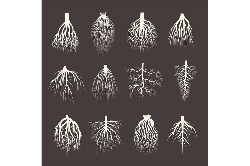 root-system-wooden-roots-from-tree-botanical-plants-symbols-creep-for