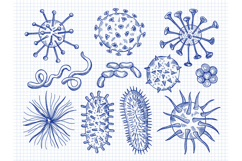 sketch-viruses-covid-bacteria-microbiology-cell-danger-biological-dis