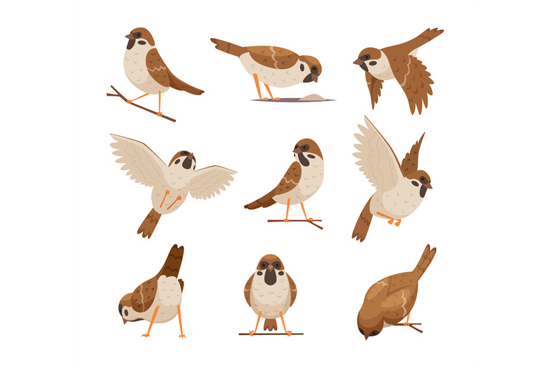 cartoon-sparrows-wild-funny-animals-flying-brown-birds-moving-chirp-c