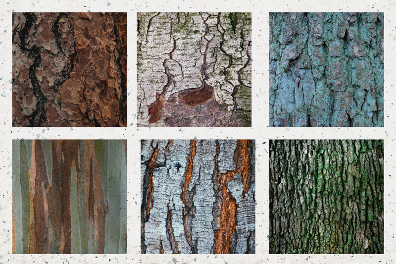 tree-bark-digital-paper