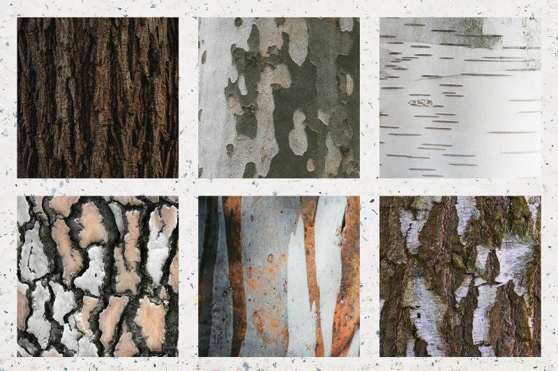 tree-bark-digital-paper
