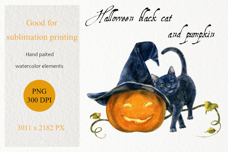 halloween-black-cat-pumpkin-png