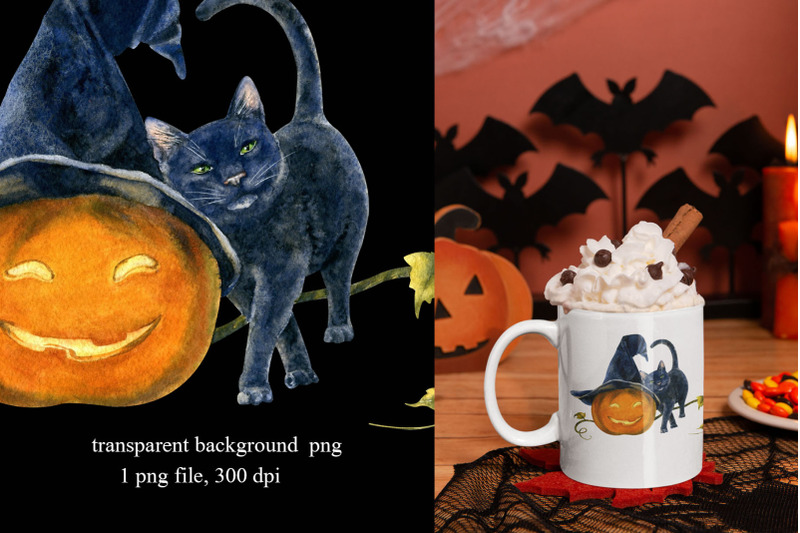 halloween-black-cat-pumpkin-png