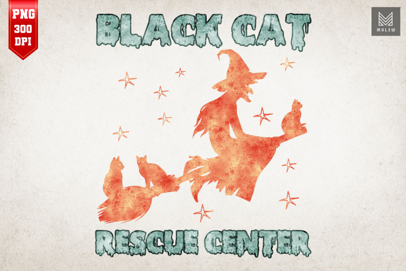 halloween-black-cat-rescue-funny-witch