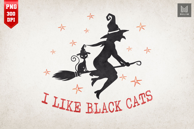 i-like-black-cats-halloween-witch