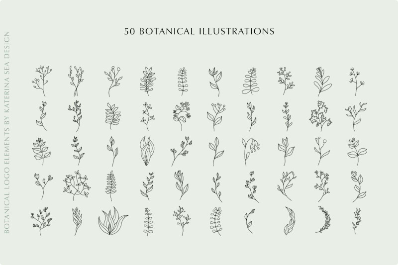 botanical-line-art-logo-elements