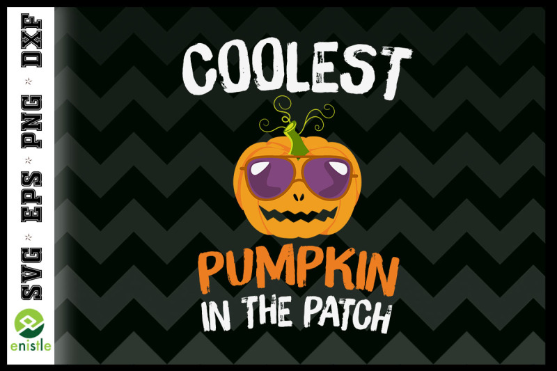 halloween-coolest-pumpkin-in-patch