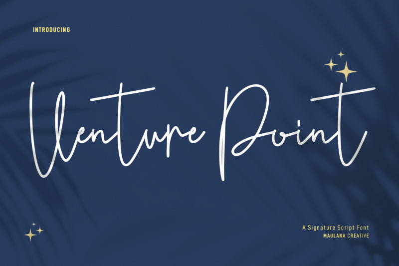 venture-point-script-font