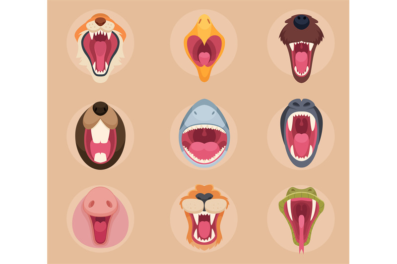 animals-mouth-teeth-and-tongue-of-angry-wild-animals-snakes-cute-bear